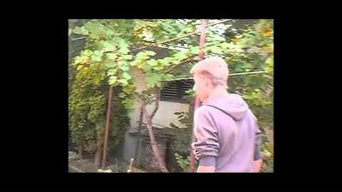 After effect action scene