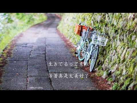 岡崎律子　ノンシャランで行こう