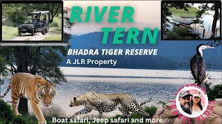 ಭಧ್ರ ಜಂಗಲ್ ಸಫಾರಿ | River Tern by JLR | Bhadra tiger reserve | Bhadra Wildlife Sanctuary |