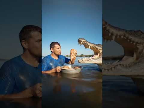 🐊 Крокодилы: 2500 Нервов в Зубах! Вибрации в Воде? 🔥 #крокодилы #крокодил #animals #дикаяприрода