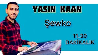 Yasin Kaan - Bomba (Şewko) 2020 Yeni / Şevko Project
