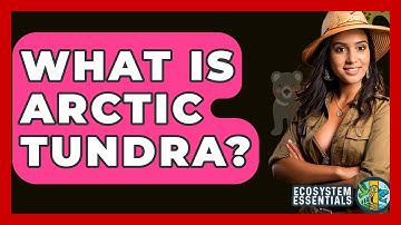 What Is Arctic Tundra? - Ecosystem Essentials