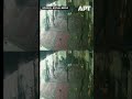 Video Shows Tehran Mosque Vandalized Before Being Set on Fire During Iran Unrest | APT