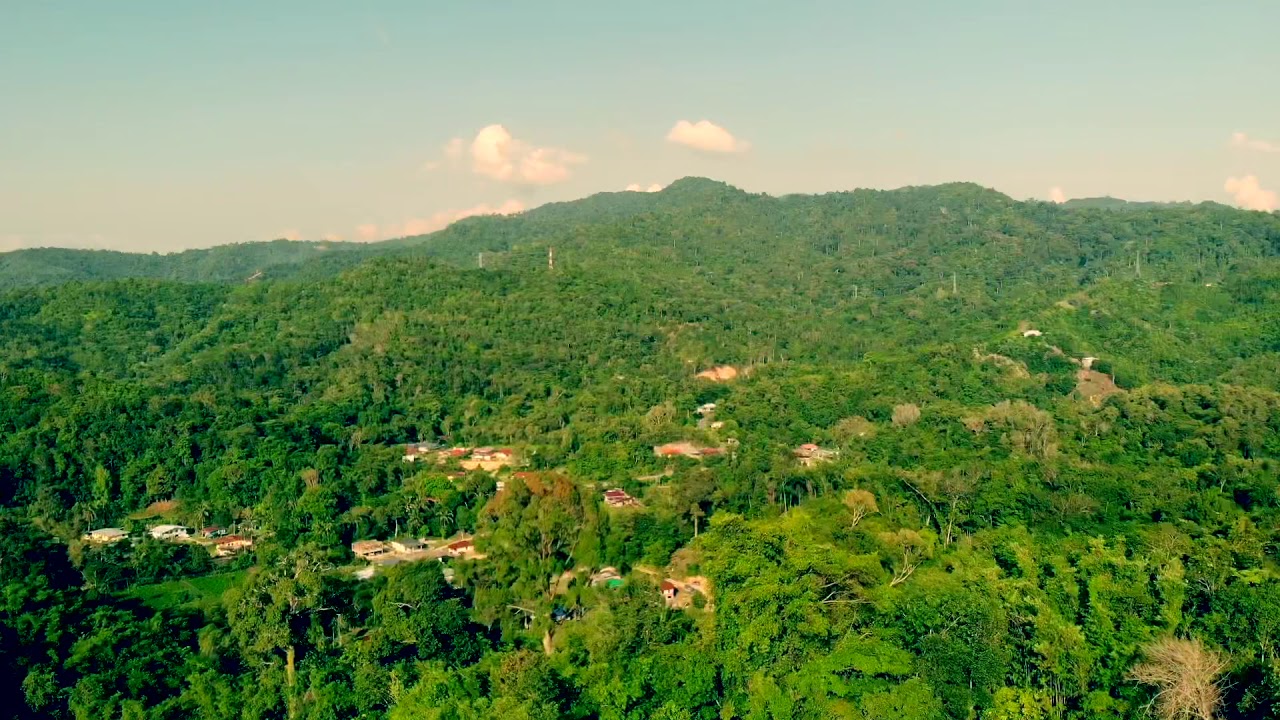[NATURE] - SUGUD, PENAMPANG SABAH | CINEMATIC DRONE AERIAL VIEW | 1080p