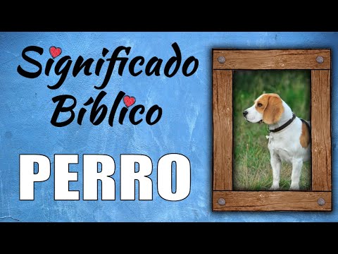 Perro Significado Bíblico | ¿Qué Significa Perro en la Biblia? 🙏 hqdefault