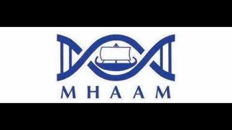 MHAAM 2019: From Homer to History: Michal Feldman