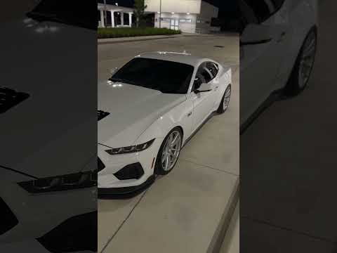 Mamasota Fastnwow Automobile Cartok Car Travel Newcar Mustangsvt