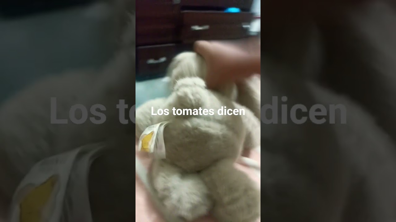 23 de febrero de 2026