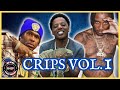 The current state of gang bangin crips vol 1