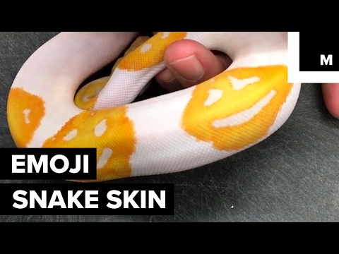 Smiling emoji snake