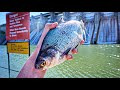 I CAN'T BELIEVE We Caught This In A MASSIVE Spillway!!! (SURPRISING)