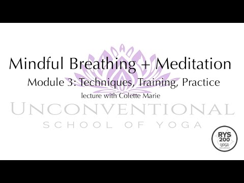 Module 3: Techniques, Training, Practice—Lecture: Mindful Breathing + Meditation