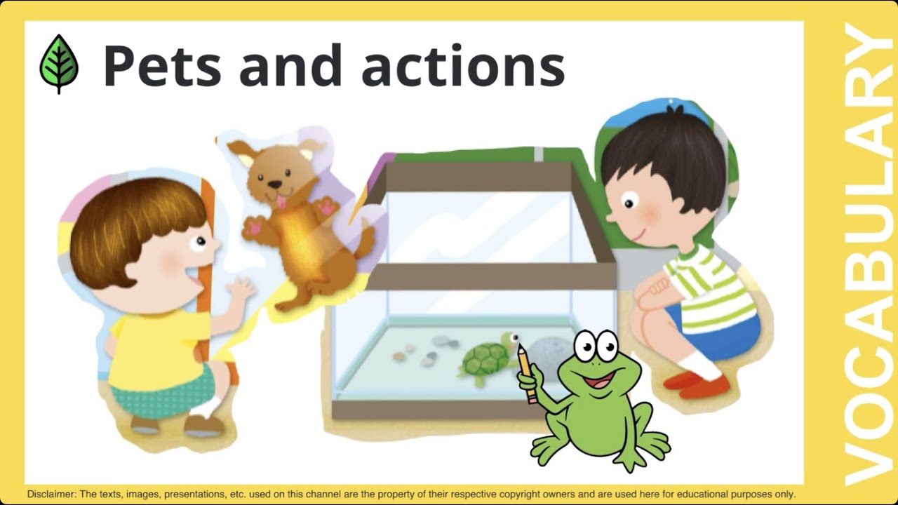 Pets and actions Vocabulary 1BU6 YouTube