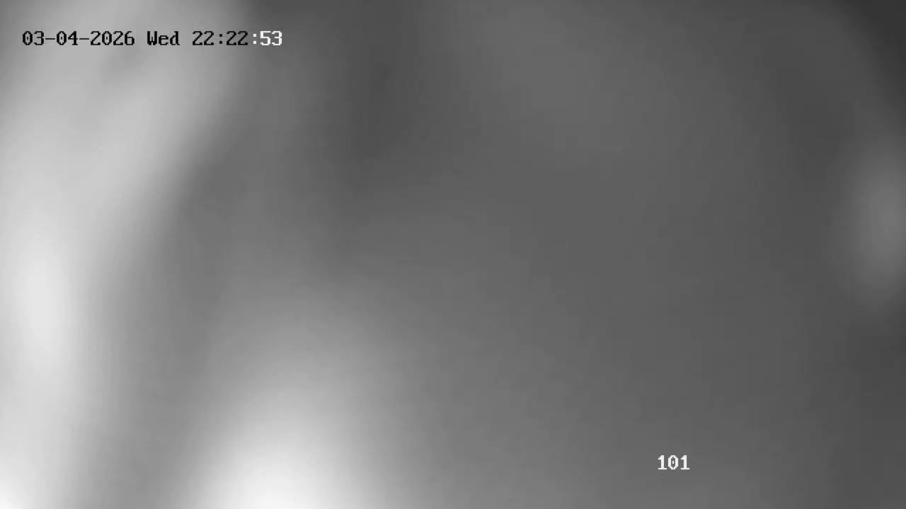 Shri Nageshwar Jyotirling , Aundha Nagnath,Dist. Hingoli Maharashtra Live Darshan