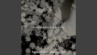 Spacious Moods for Quiet Time