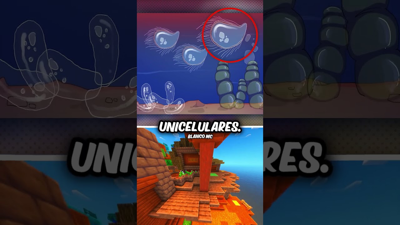 ¿Cómo era la tierra antes de los dinosaurios? 🐱‍🐉🤯