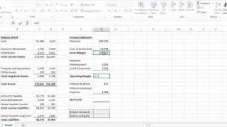 Excel  2013 Tutorial - How to Calculate Return on Assets and Return on Equity Shortly