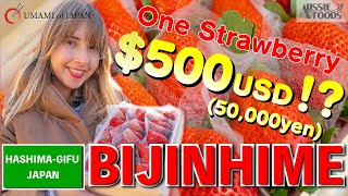 『BIJINHIME』One of the most expensive strawberries in Japan【UMAMI of JAPAN #3】