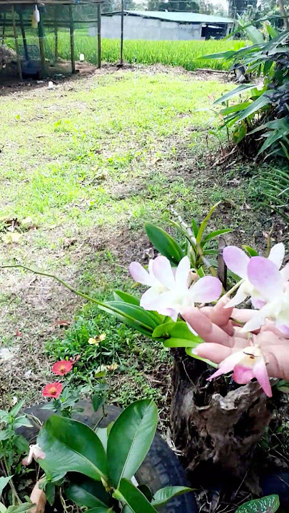 Gandang buhay #energy #singlemomlife #memories #musicvideo