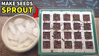 This Trick Germinates Seeds When It's TOO HOT!