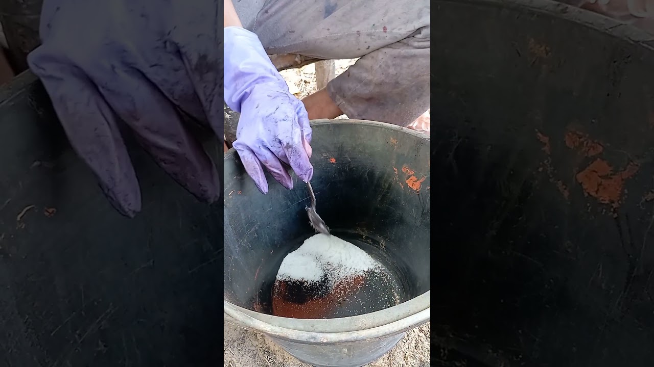 rinjiga qasiida ku baro free