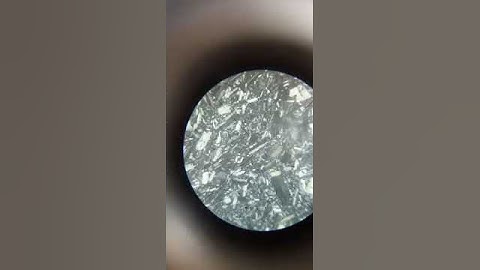 Trachyte in thin section