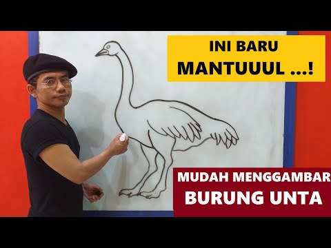 Video: Cara Menggambar Burung Unta Dengan Pensil