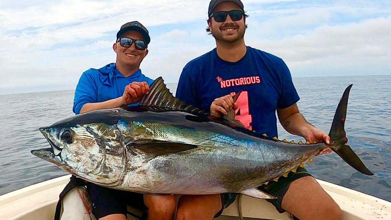 Catching Big Bluefin Tuna in Southern California on an 18ft Boat ...