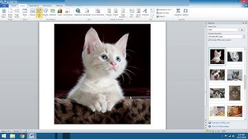Insert menu in MS word Tamil