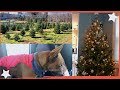 Christmas Vlog: Cutting Down &amp; Decorating the Tree | Brooklyn Anne