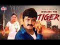 Bhavani the tiger     south super star nandamuri balakrishna ki super hit action movie