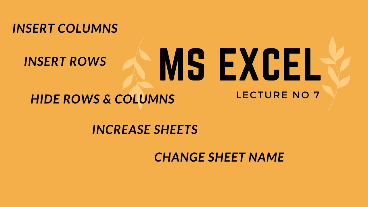 How to Hide Rows and Column in Excel | Excel Lecture 7 - YouTube