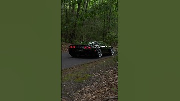 Corvette C5 in the wild