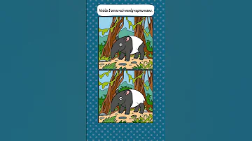 5 Отличий Тапир
