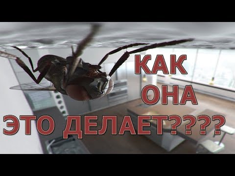 Спорим, ты этого не знал!!!