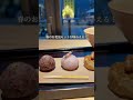 🌸KYOTO SAKURA ART STATION 2026🌸