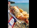 El langoston majiaooo  del malecon  rellenao en 3 capas  mariscada majado malanga  y queso a