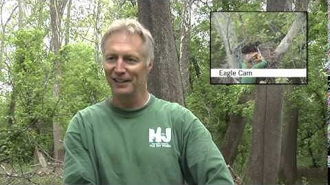2009 Duke Farms Eagle Banding