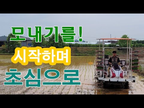 태웅이네 모내기가 시작되었습니다.