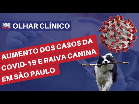 Aumento dos casos da Covid-19 e raiva canina em São Paulo l Álvaro Furtado