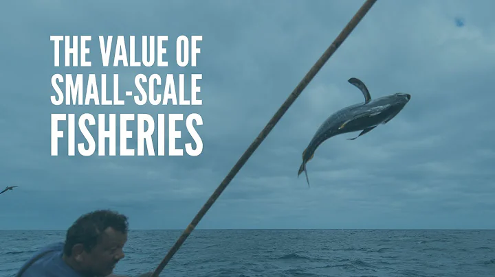 Discover the Hidden Power of Small-Scale Fisheries