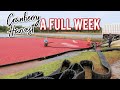 🔴A Week in Our Life | WISCONSIN CRANBERRY HARVEST 2020 | Country Wife Life