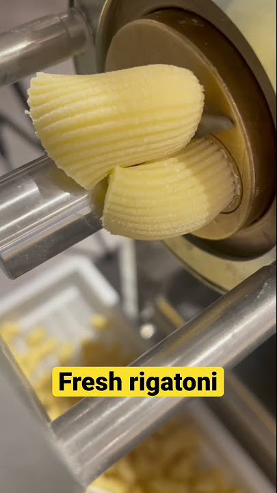 Handmade Rigatoni & Paccheri (Without an Extruder!) - The Sage Apron