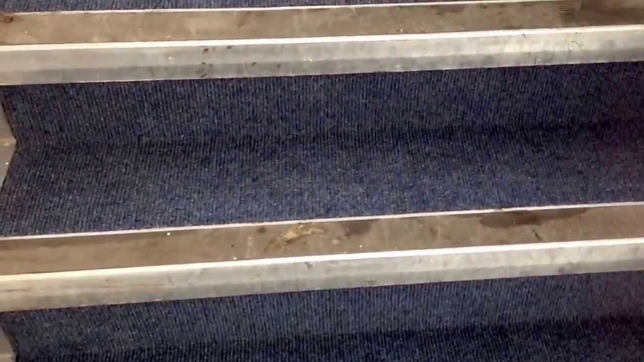 Staircase carpet clean from Mavis Russell Floorcare YouTube
