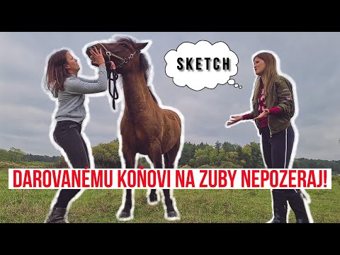 Video: Ako Nakresliť Rytiera Na Koni