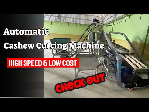 Automatic Cashew Cutting Machine | Efficient Automatic Cashew Cutting Machine at affordable price.