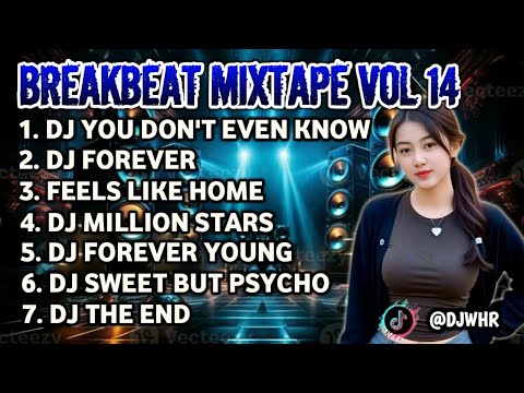 DJ BREAKBEAT MIXTAPE VOLUME 14