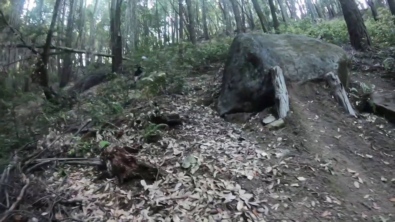 Angwin’s Los Posadas State Forest Has All The Fun Turns, Berms & Jumps