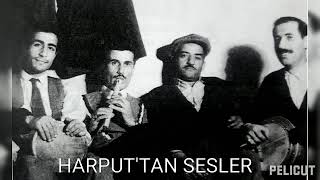 Ben Giderken Üç Ay Vardı Bayrama Nesibe Enver Demirbağ 1935-2010