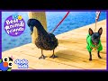 This Duck Thinks He's a Dog! | Animal Videos For Kids | Dodo Kids